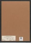 Navicula cryptocephala var. veneta Rabh. (Kuetz.) (de-Toni-Nr.: Genus 1, Species 109) Zeichnungen Sammlung Grunow Mappe 00090 (Herbarium_W_Grunow_drawings_Folder_00090)